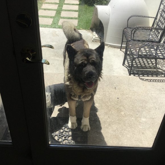 Meet your Posher, Designer - Picture 4 of 4